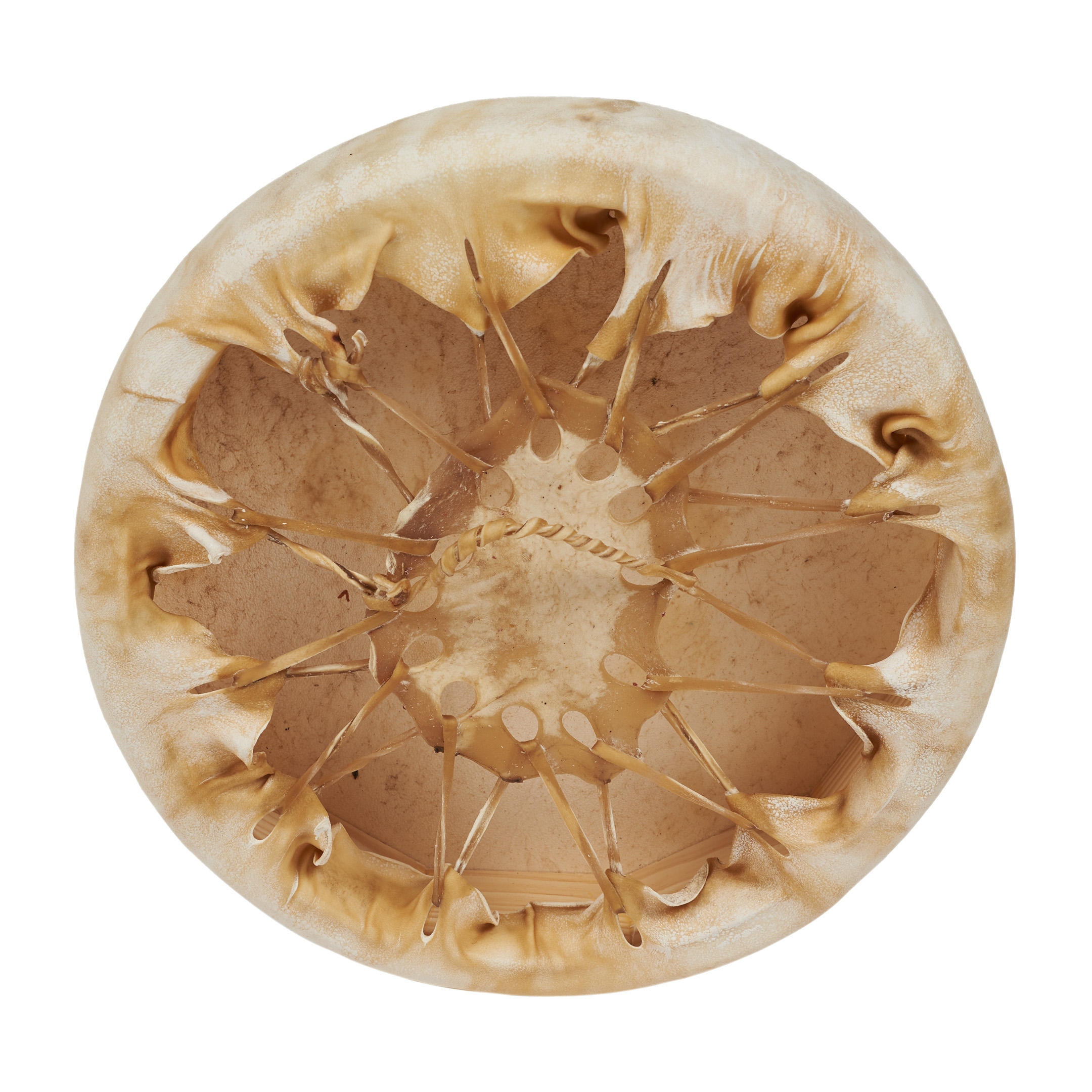 DECO177 Taos drum small size - Harpo Paris