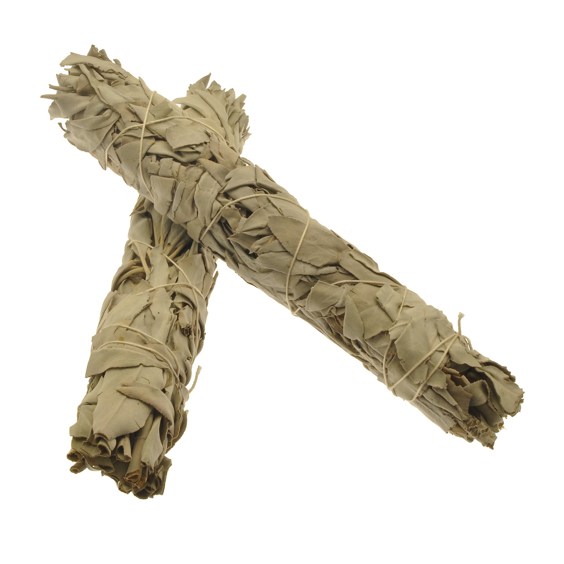 SAG1 white sage